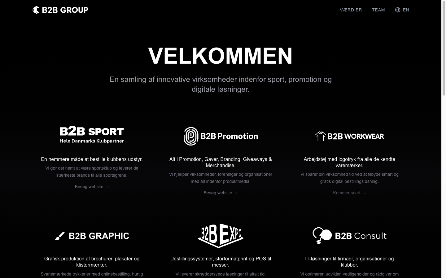 B2B Group: Digital Platform Ecosystem